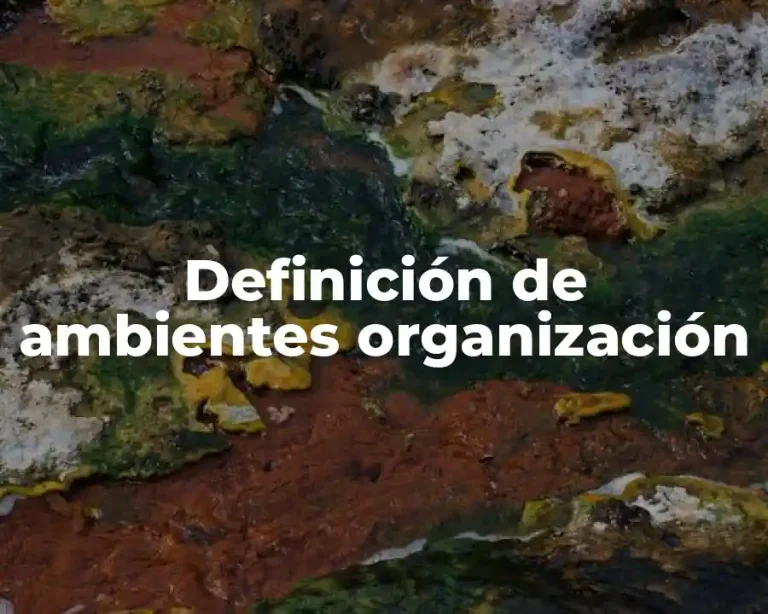 Definición de ambientes organización