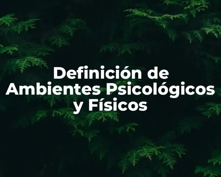 Definición de Ambientes Psicológicos y Físicos