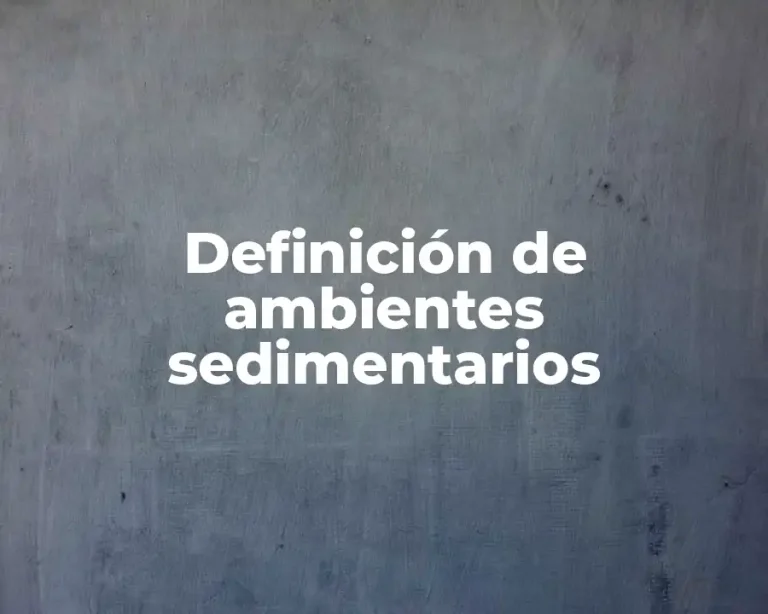 Definición de ambientes sedimentarios