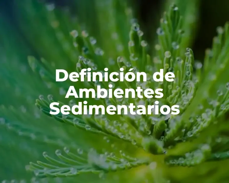 Definición de Ambientes Sedimentarios
