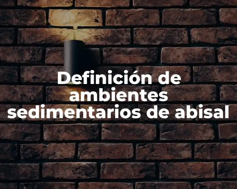 Definición de ambientes sedimentarios de abisal
