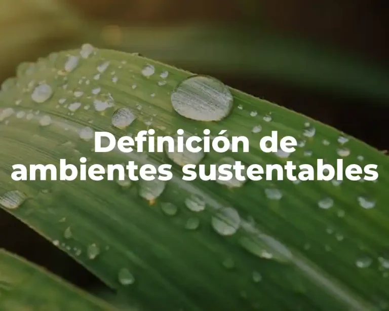 Definición de ambientes sustentables