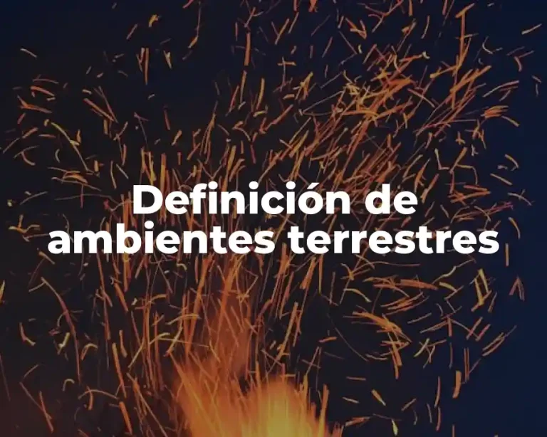 Definición de ambientes terrestres