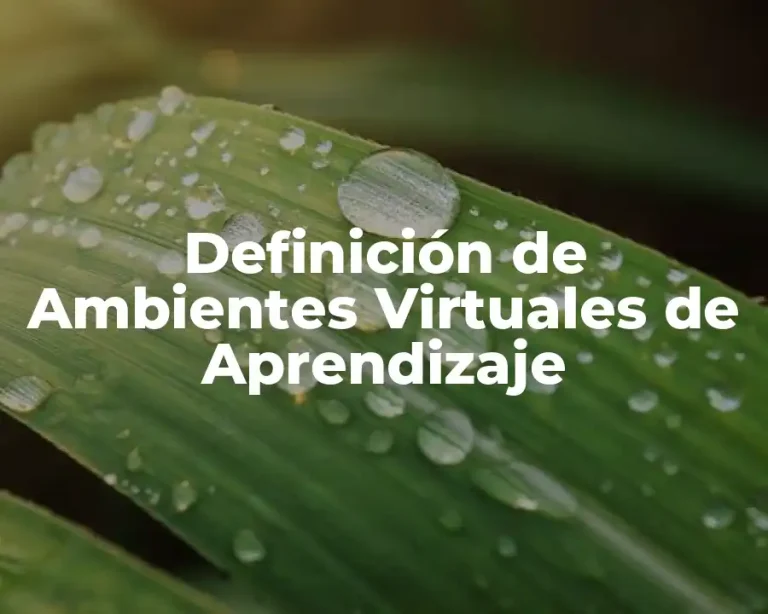 Definición de Ambientes Virtuales de Aprendizaje