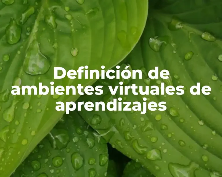 Definición de ambientes virtuales de aprendizajes