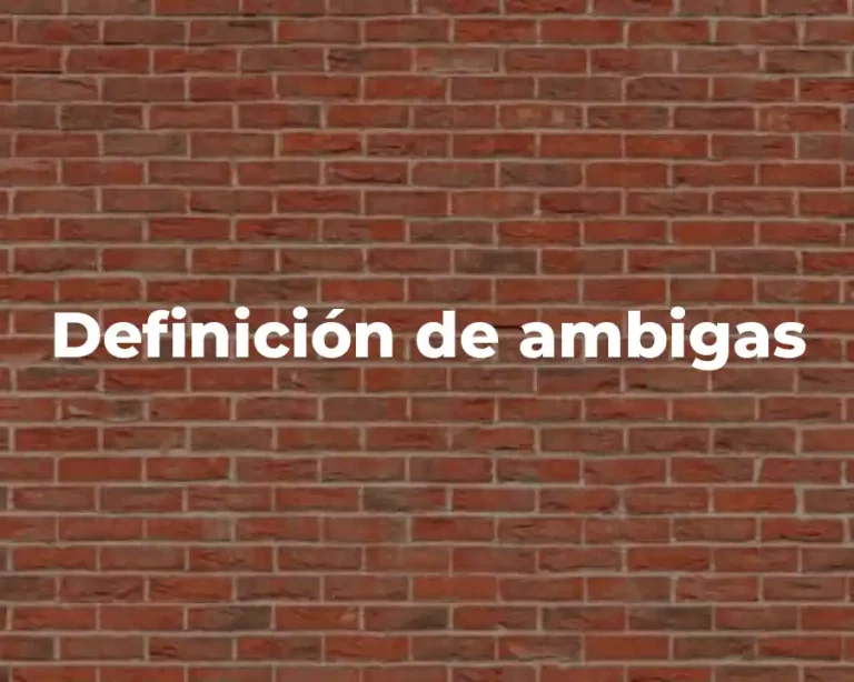 Definición de ambigas