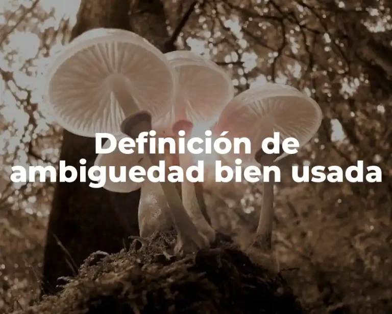 Definición de ambiguedad bien usada