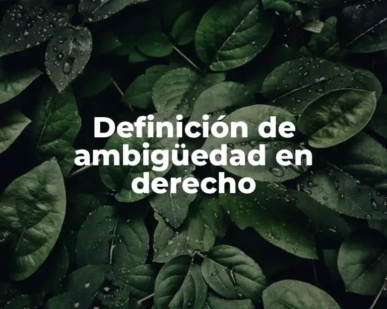 Definición de ambigüedad en derecho