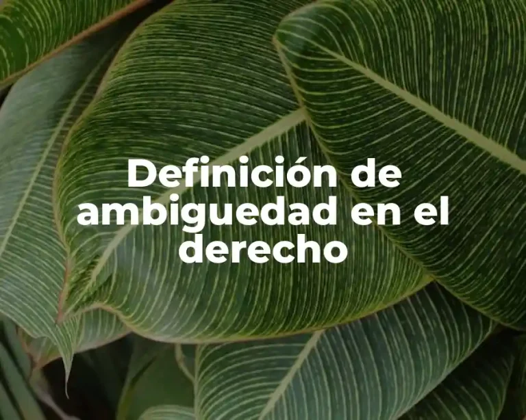 Definición de ambiguedad en el derecho