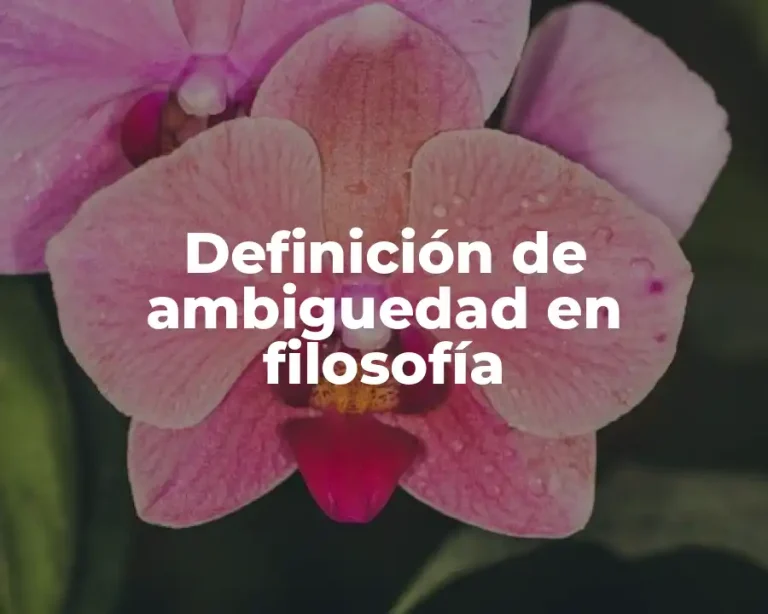 Definición de ambiguedad en filosofía