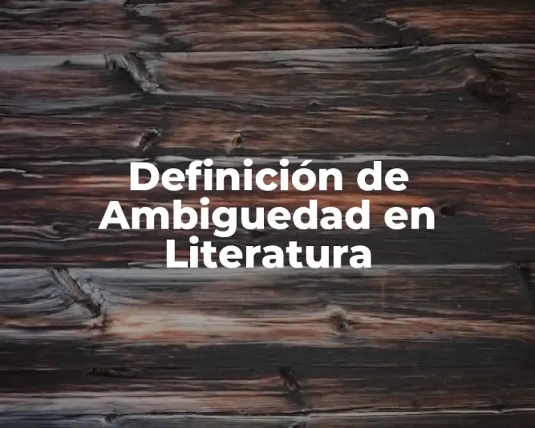 Definición de Ambiguedad en Literatura