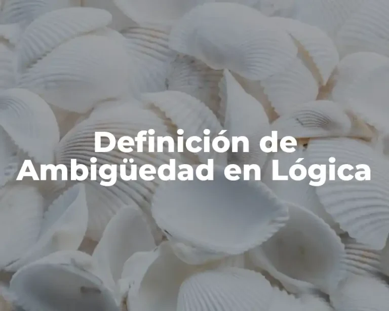 Definición de Ambigüedad en Lógica