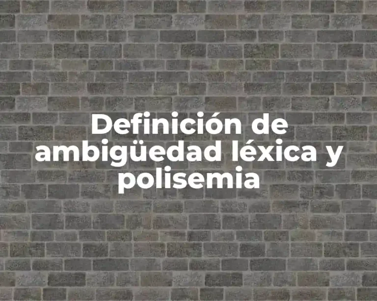 Definición de ambigüedad léxica y polisemia