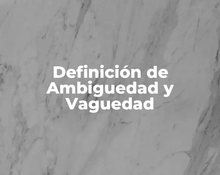 Definición de Ambiguedad y Vaguedad