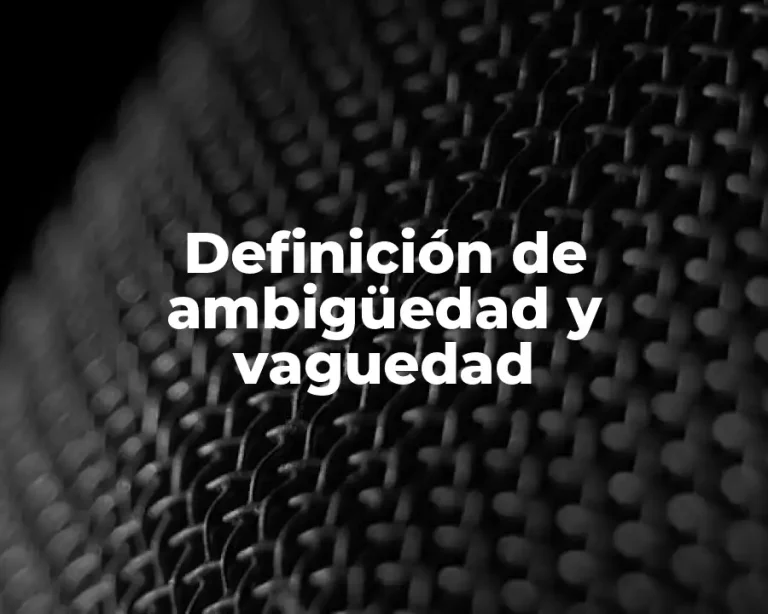 Definición de ambigüedad y vaguedad