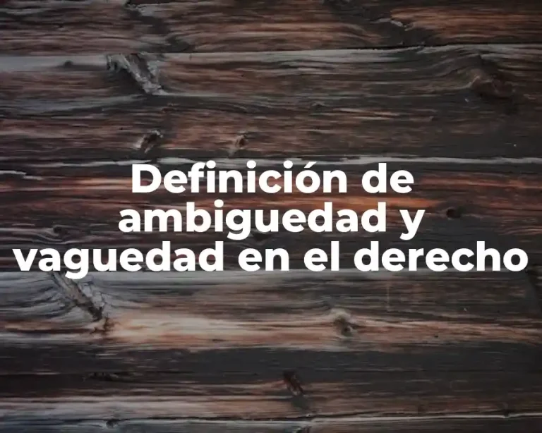 Definición de ambiguedad y vaguedad en el derecho