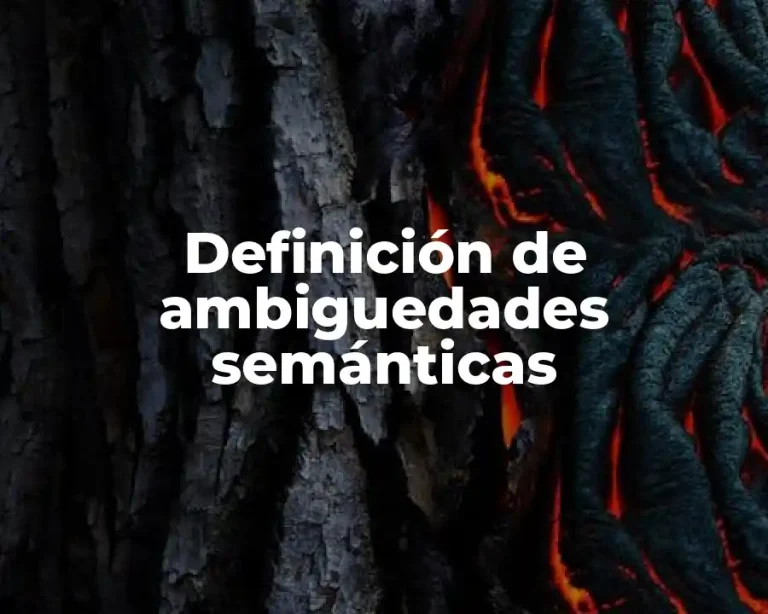 Definición de ambiguedades semánticas