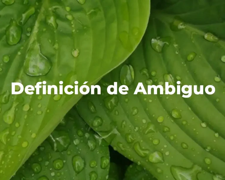 Definición de Ambiguo