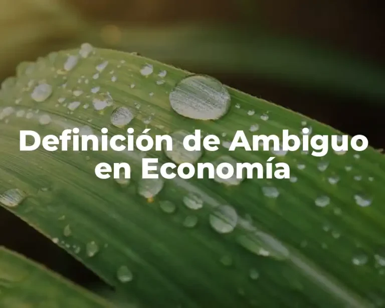 Definición de Ambiguo en Economía