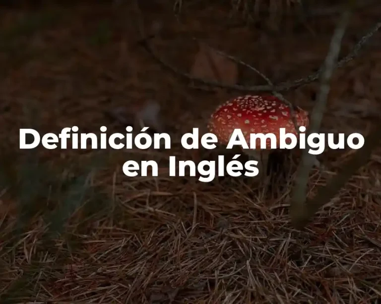 Definición de Ambiguo en Inglés