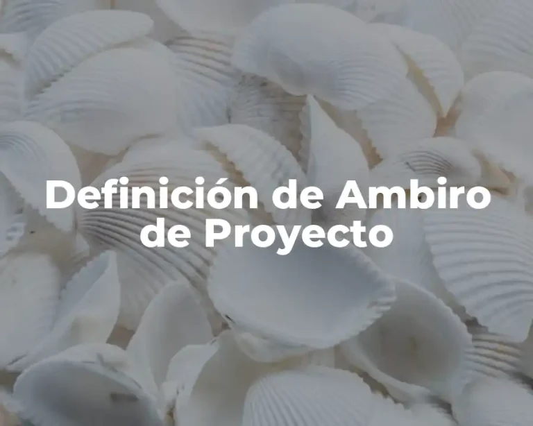 Definición de Ambiro de Proyecto