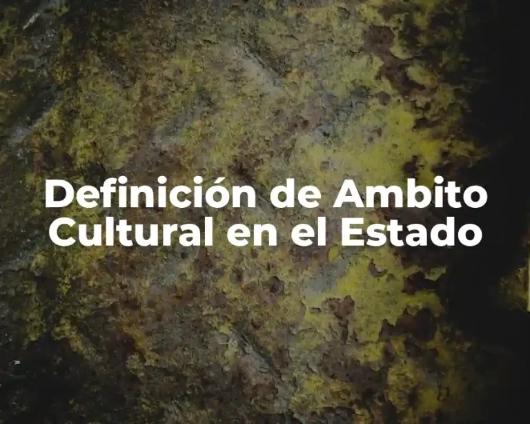 Definición de Ambito Cultural en el Estado