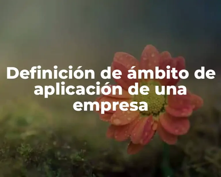 Definición de ámbito de aplicación de una empresa