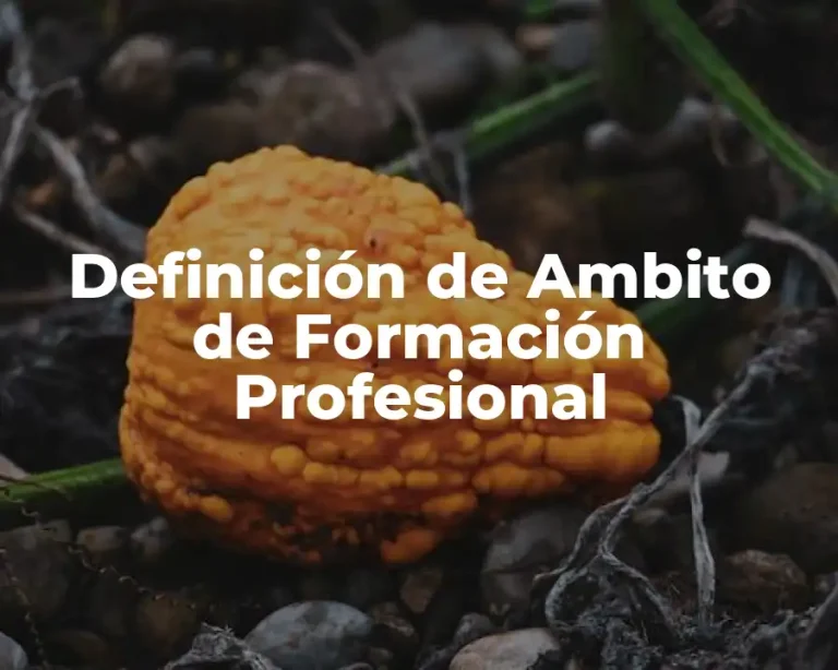 Definición de Ambito de Formación Profesional