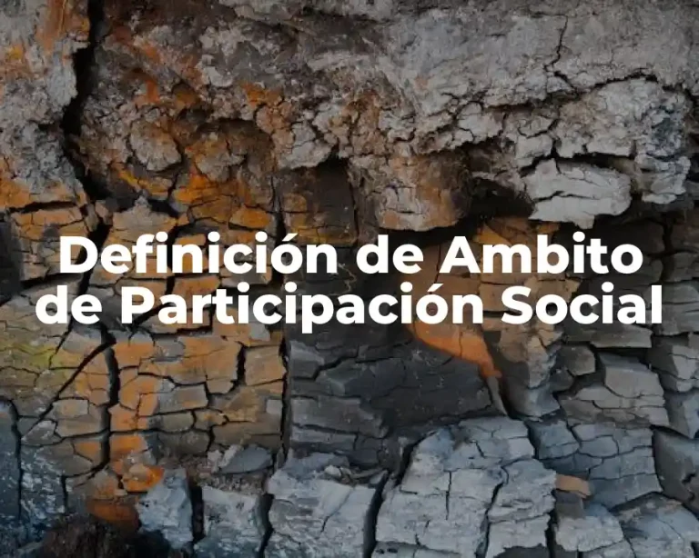 Definición de Ambito de Participación Social