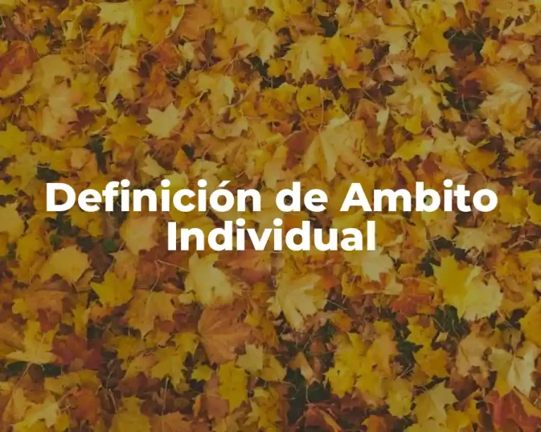 Definición de Ambito Individual