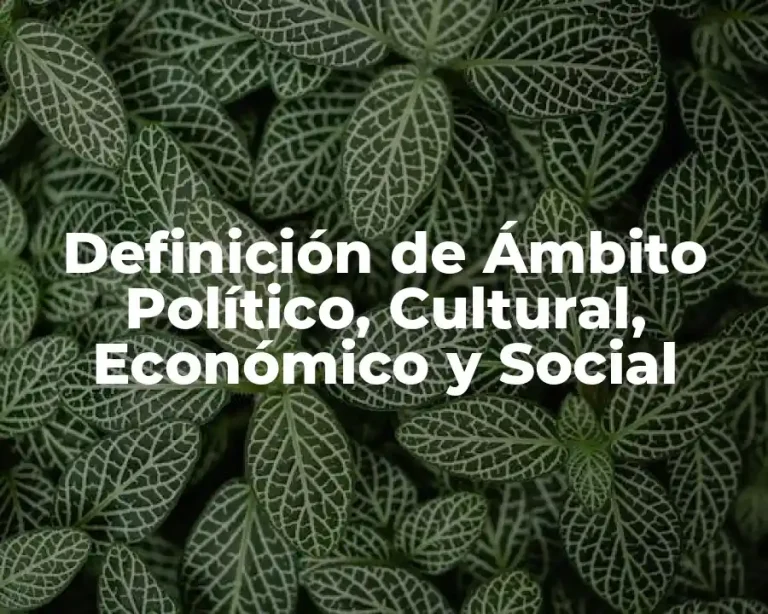 Definición de Ámbito Político, Cultural, Económico y Social