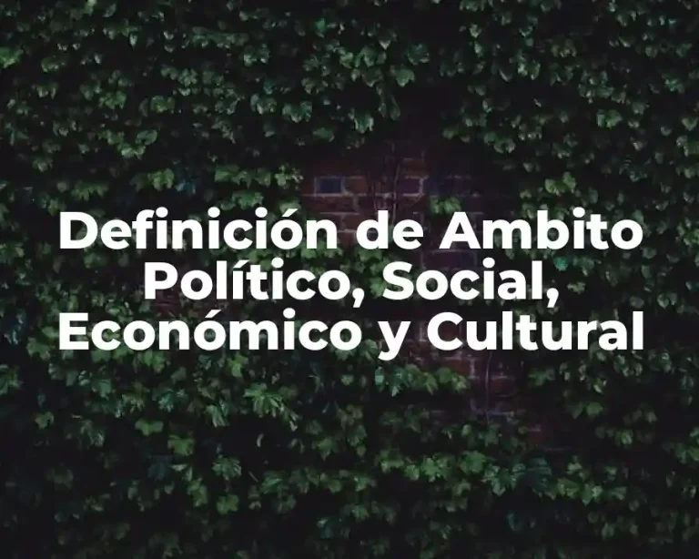 Definición de Ambito Político, Social, Económico y Cultural