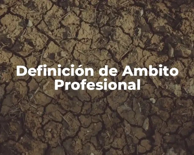 Definición de Ambito Profesional