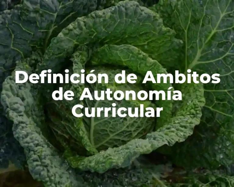 Definición de Ambitos de Autonomía Curricular