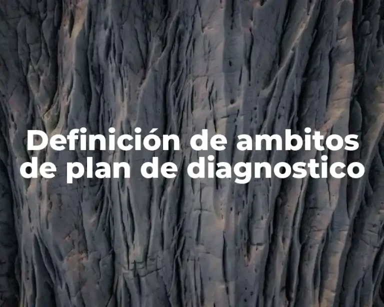 Definición de ambitos de plan de diagnostico