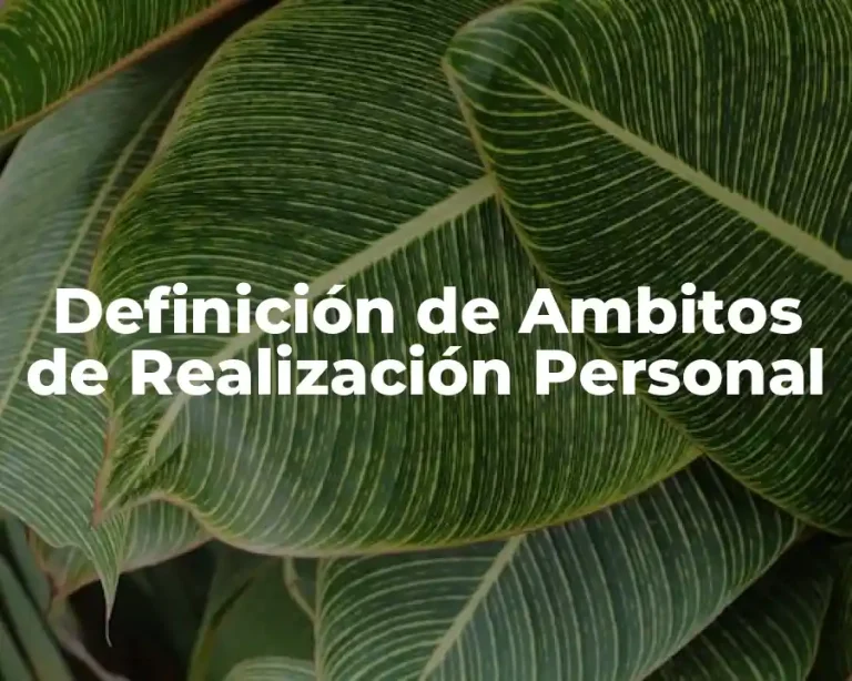 Definición de Ambitos de Realización Personal