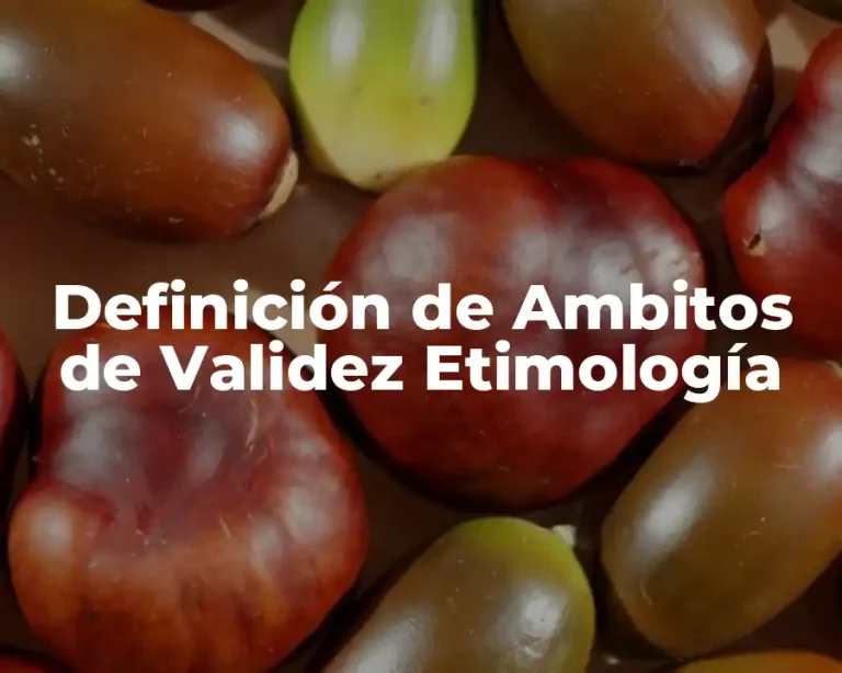 Definición de Ambitos de Validez Etimología
