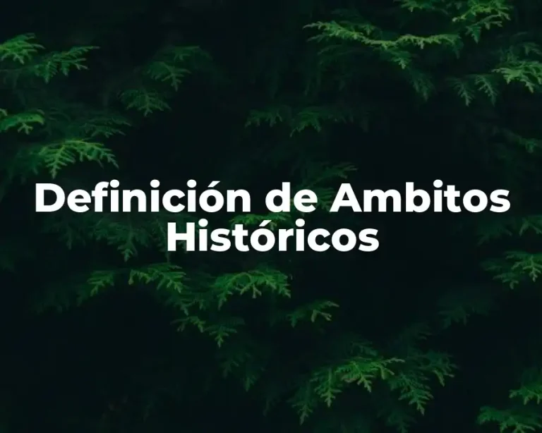 Definición de Ambitos Históricos