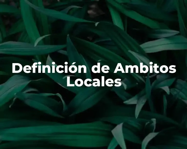 Definición de Ambitos Locales