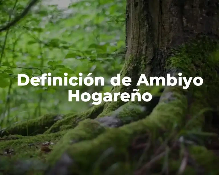 Definición de Ambiyo Hogareño