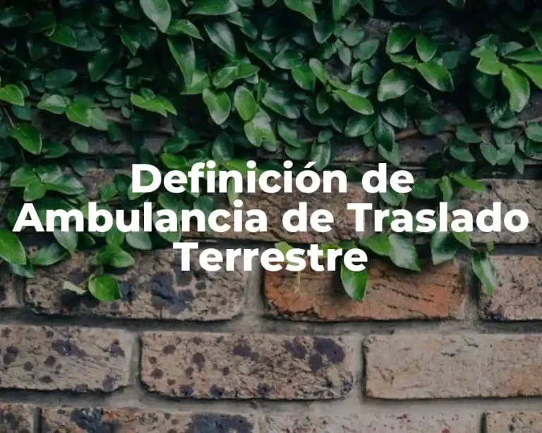 Definición de Ambulancia de Traslado Terrestre