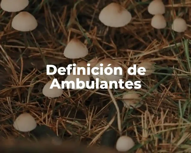 Definición de Ambulantes