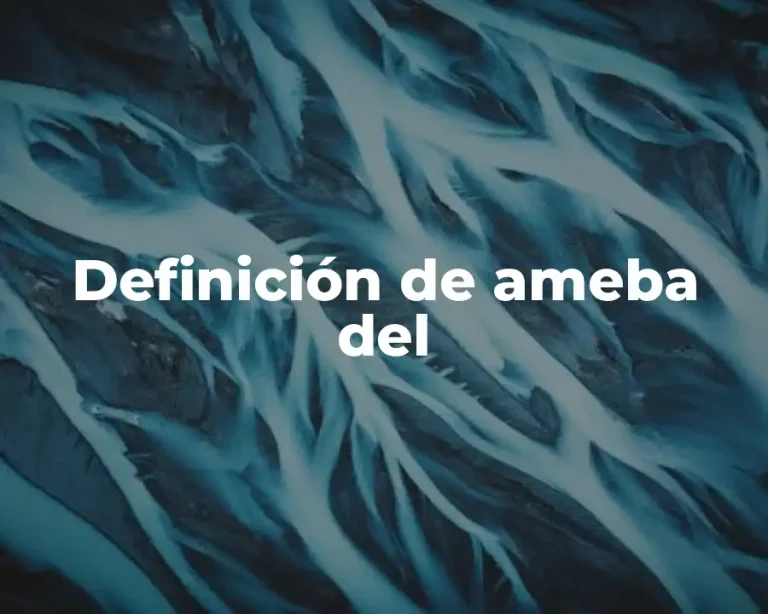 Definición de ameba del