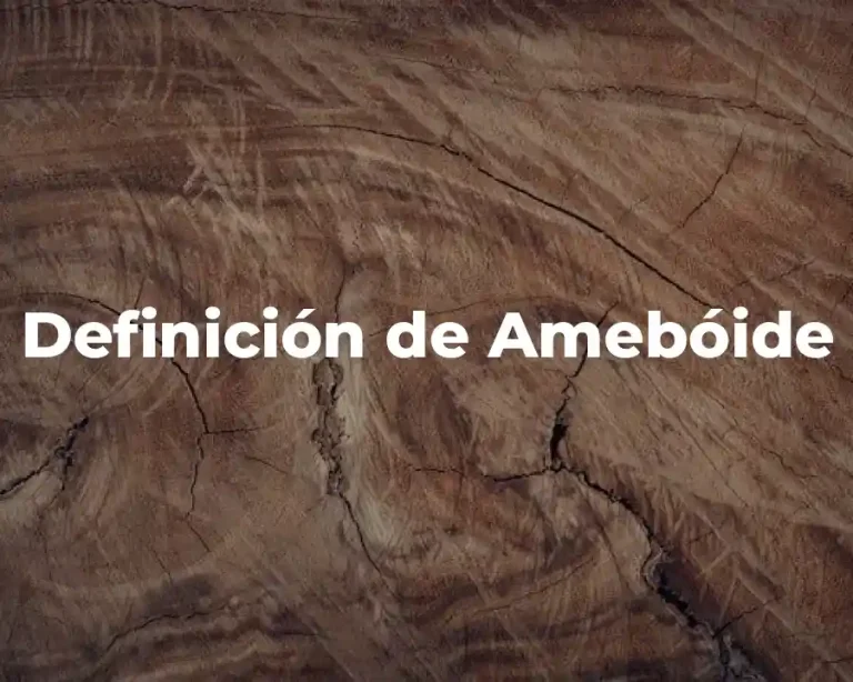 Definición de Amebóide