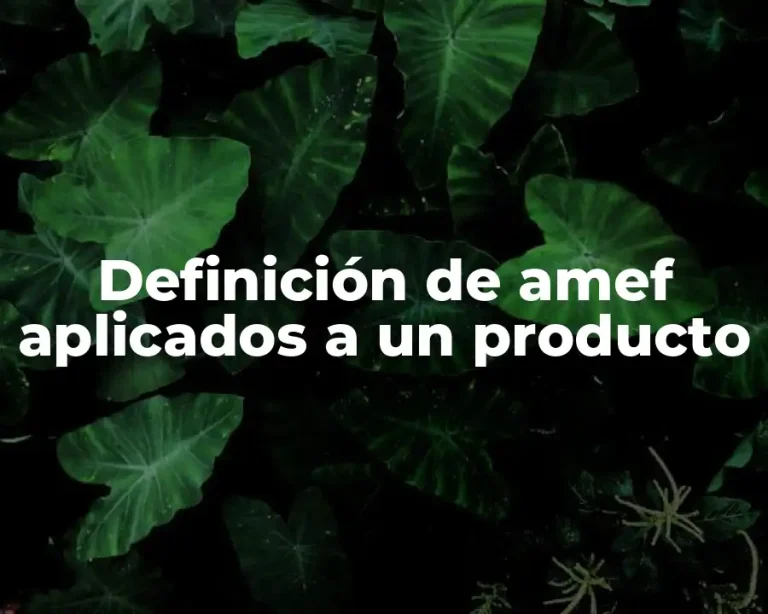 Definición de amef aplicados a un producto
