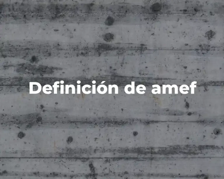 Definición de amef