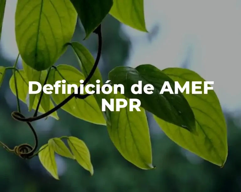 Definición de AMEF NPR