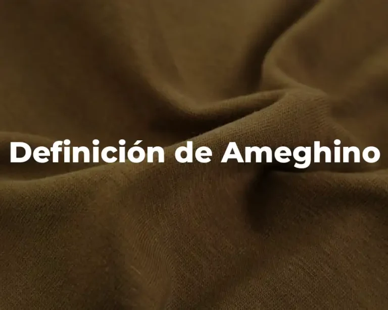 Definición de Ameghino