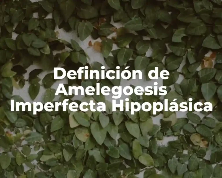Definición de Amelegoesis Imperfecta Hipoplásica