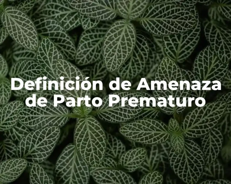 Definición de Amenaza de Parto Prematuro